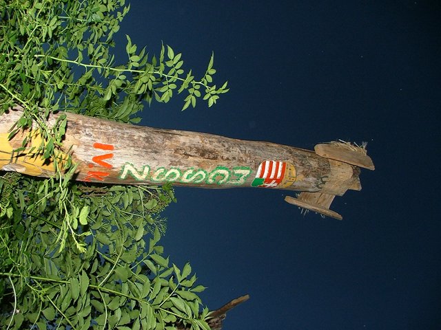 billede_200704_004.JPG