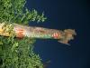 Click to view billede_200704_004_t1.jpg