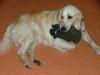 Click to view billede_200704_008_t1.jpg