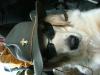 Click to view billede_200704_031_t1.jpg