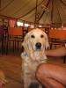Click to view billede_210704_125_t1.jpg