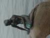 Click to view billede_250704_030_t1.jpg